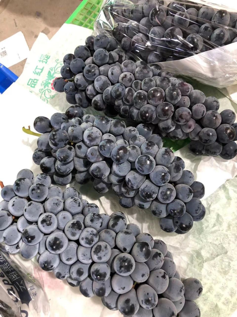 夏天从吃夏黑葡萄开始~ 【云南夏黑葡萄】每一串都沉甸甸,每一颗都圆