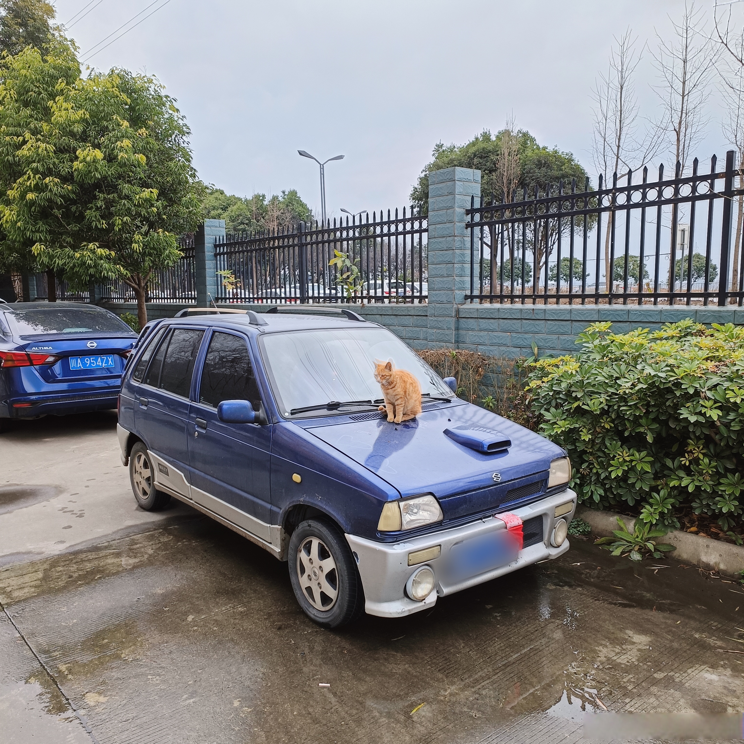 是个懒妈许总开的什么车