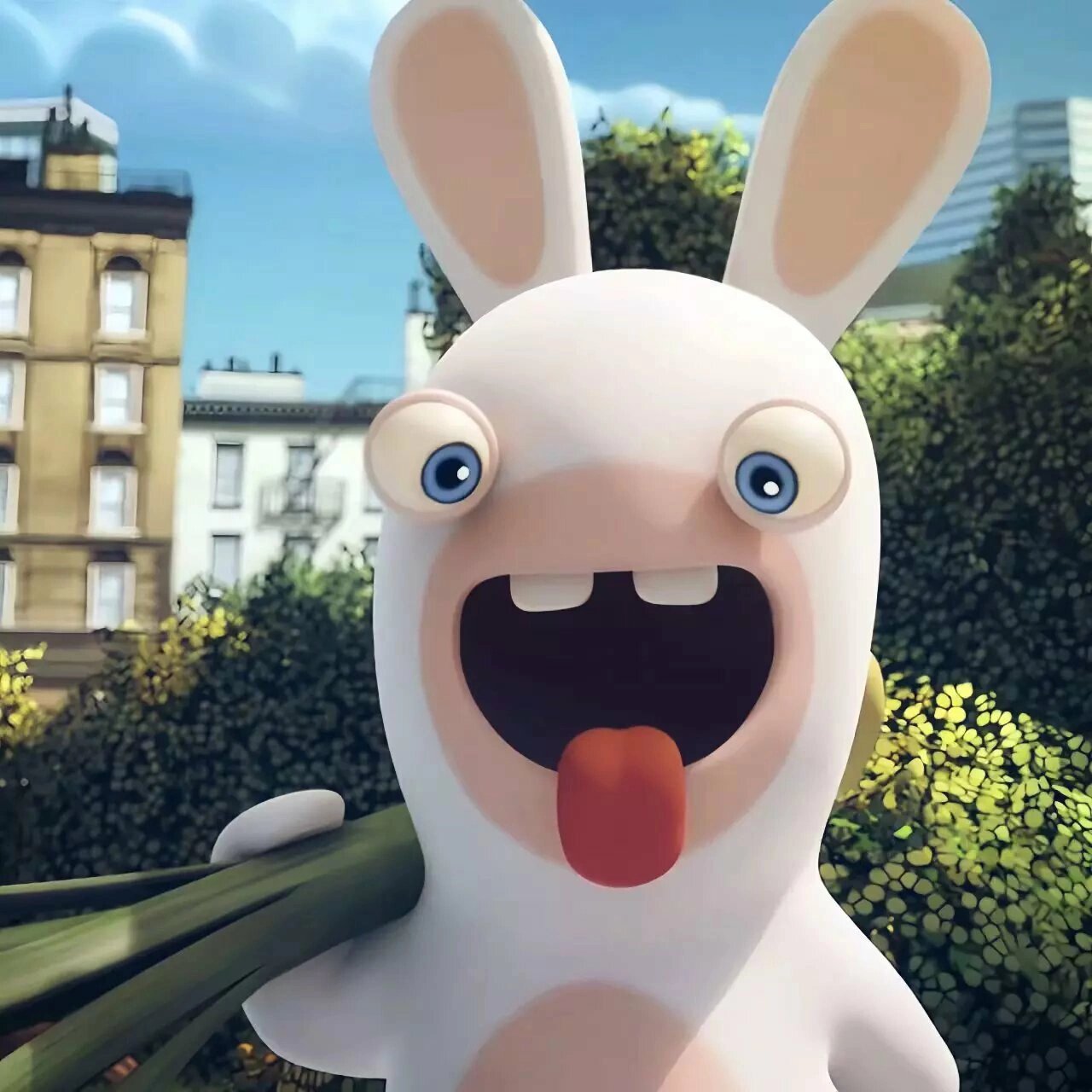 疯狂的兔子头像