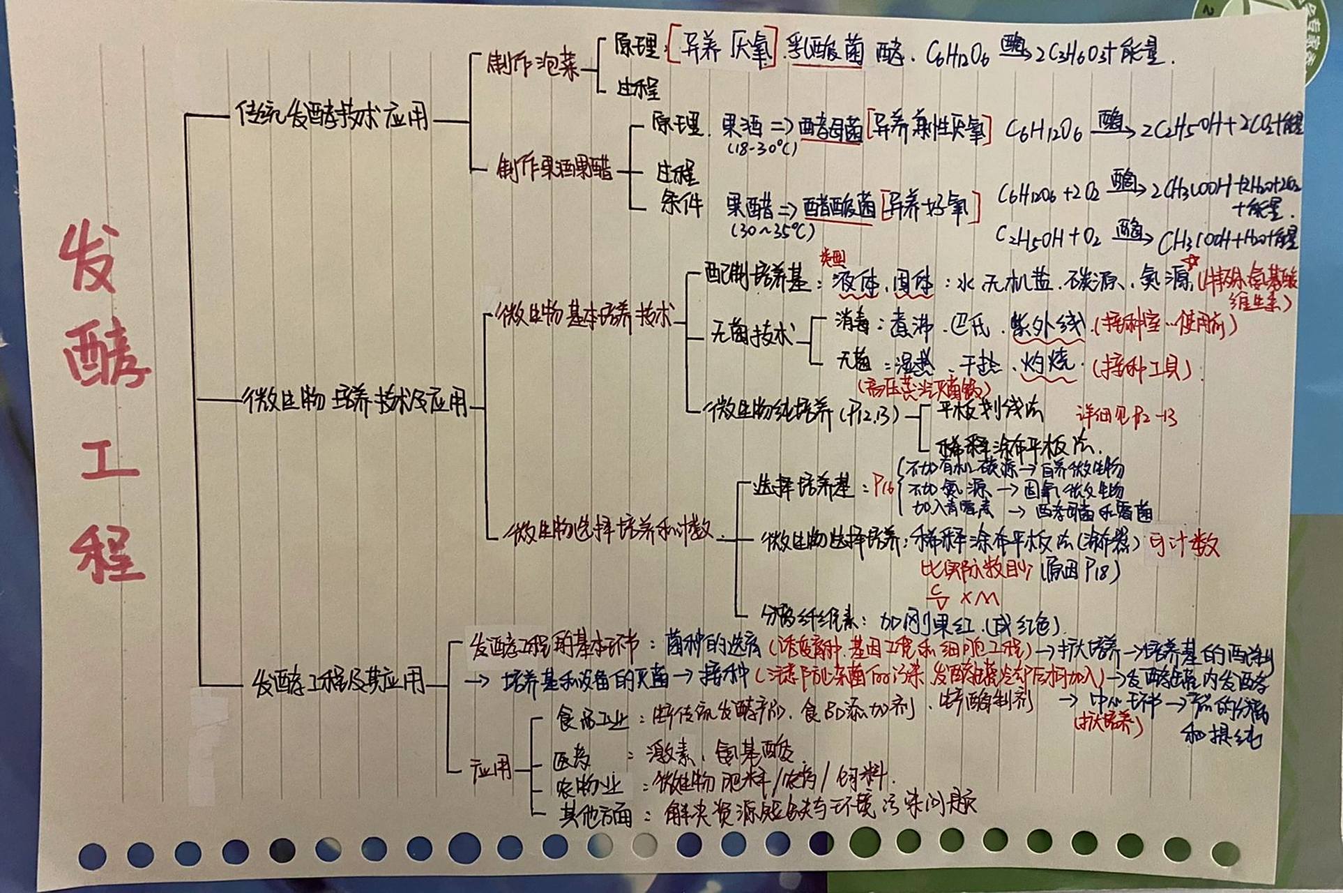 生物选择性必修三第一章思维导图 发酵工程思维导图