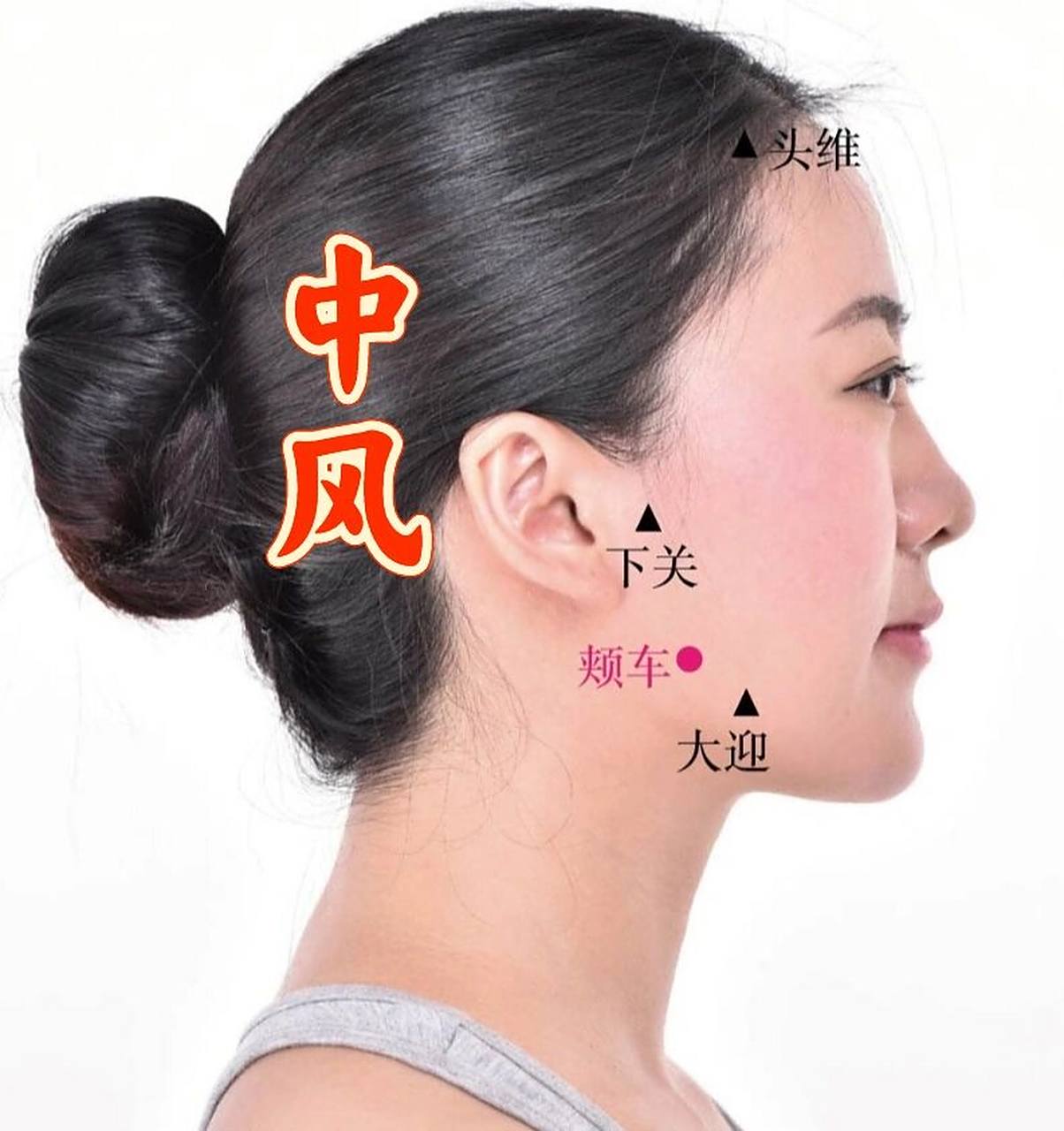 足阳明胃经穴-颊车