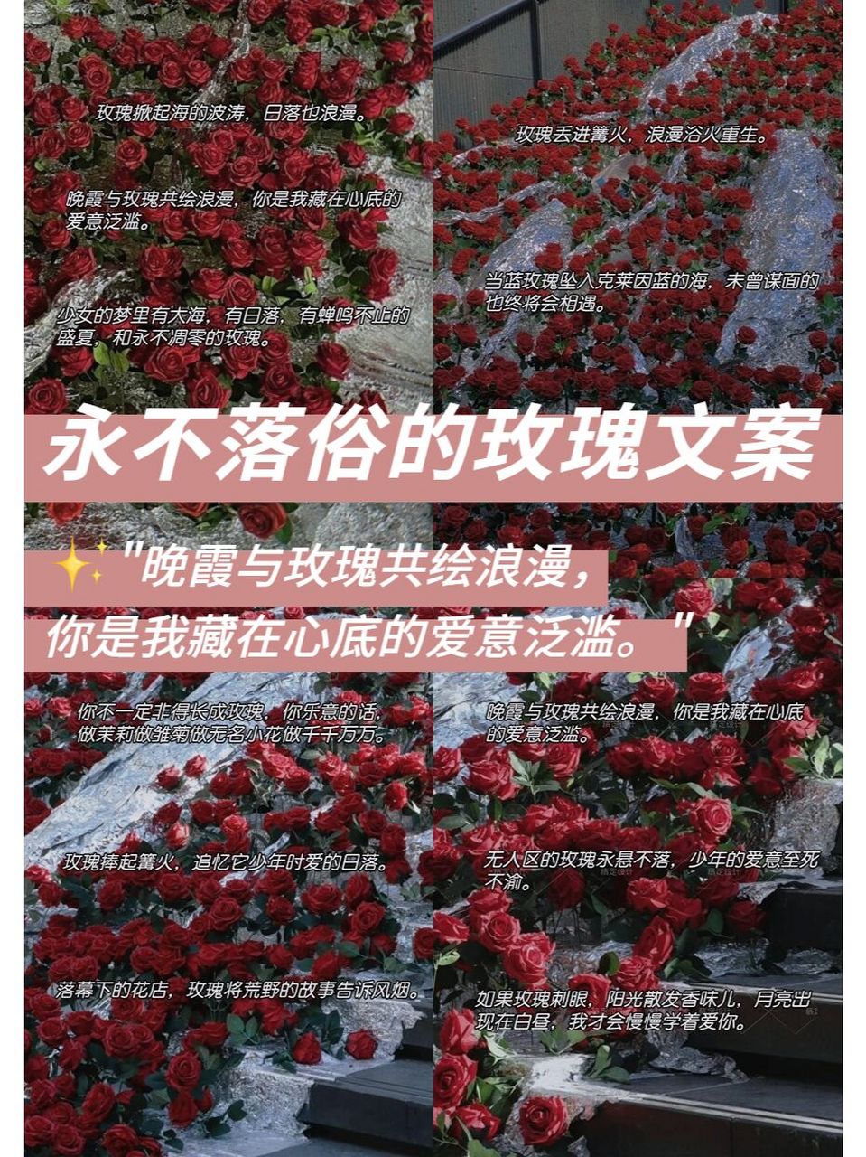 玫瑰花文案伤感图片