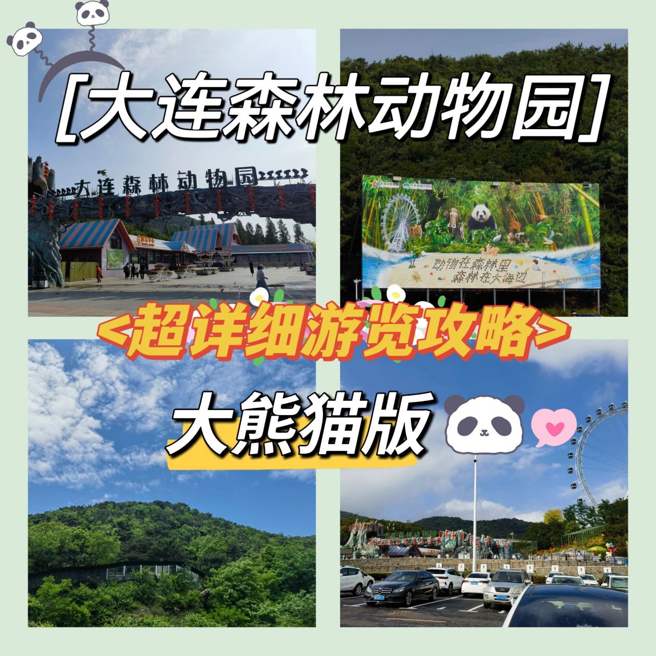 大连森林动物园游览攻略(看熊猫版) 9799适合主要想来看熊猫,同时