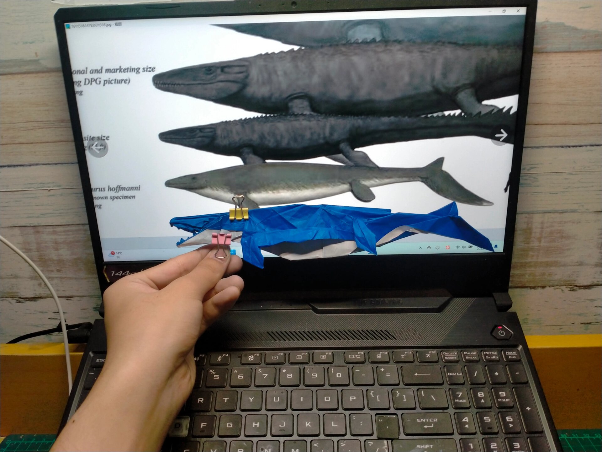 【折纸设计】沧龙 鳍的形状还不太行