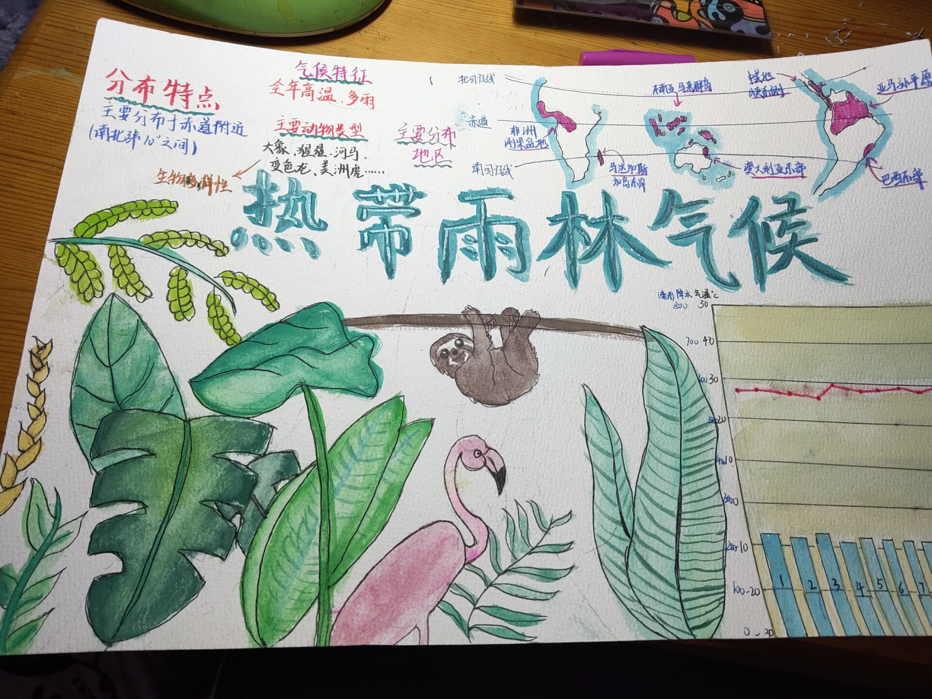 七上热带雨林气候手抄报