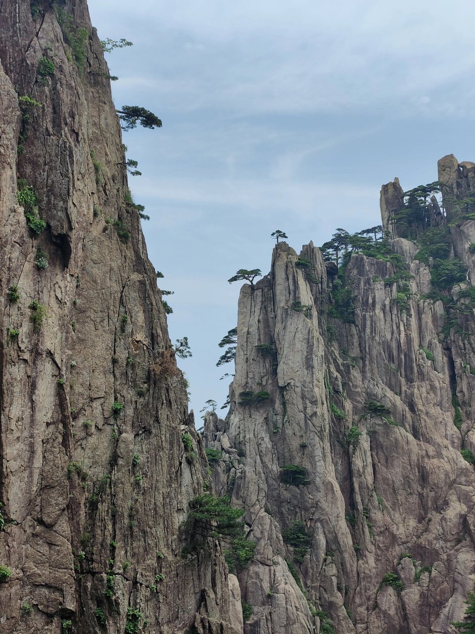 黄山|奇松怪石 六月十二日独自登黄山,见到了许多奇松怪石以及绝处逢