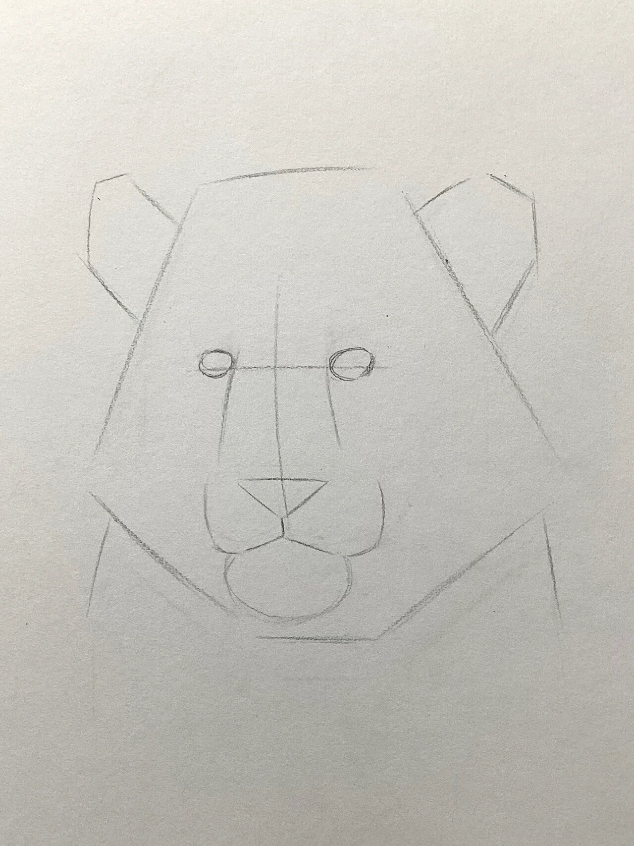 素描动物 | 老虎以及绘画步骤@一只奇趣灯泡的动态