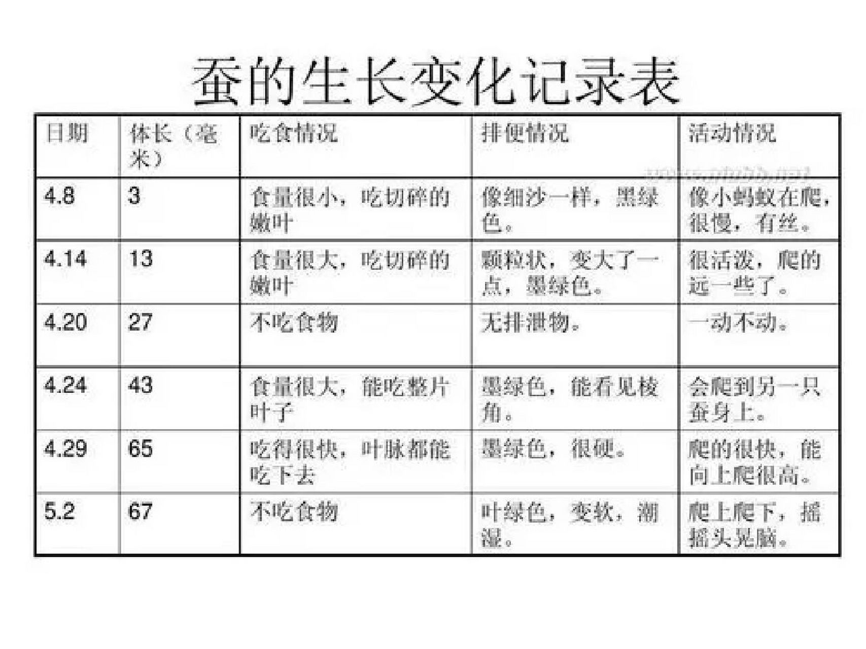 蚕卵孵化记录表图片