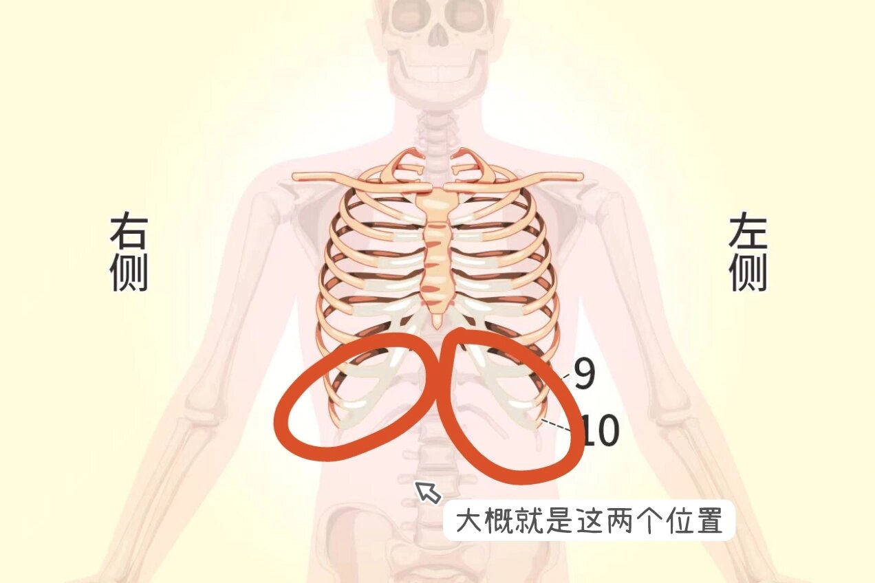 右侧第三肋骨的位置图图片