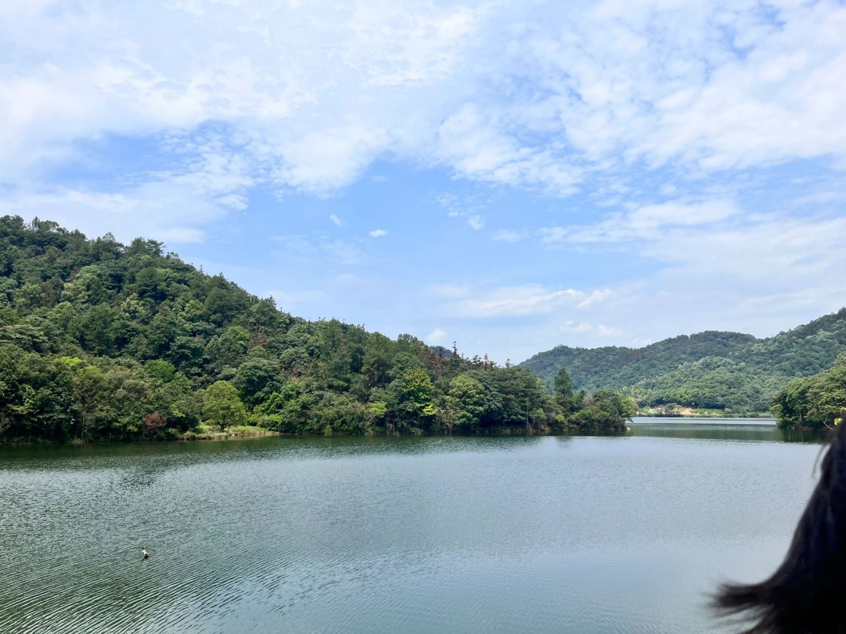 长沙|象鼻窝森林公园73 长沙周末出游好去处-象鼻窝森林公园 还未