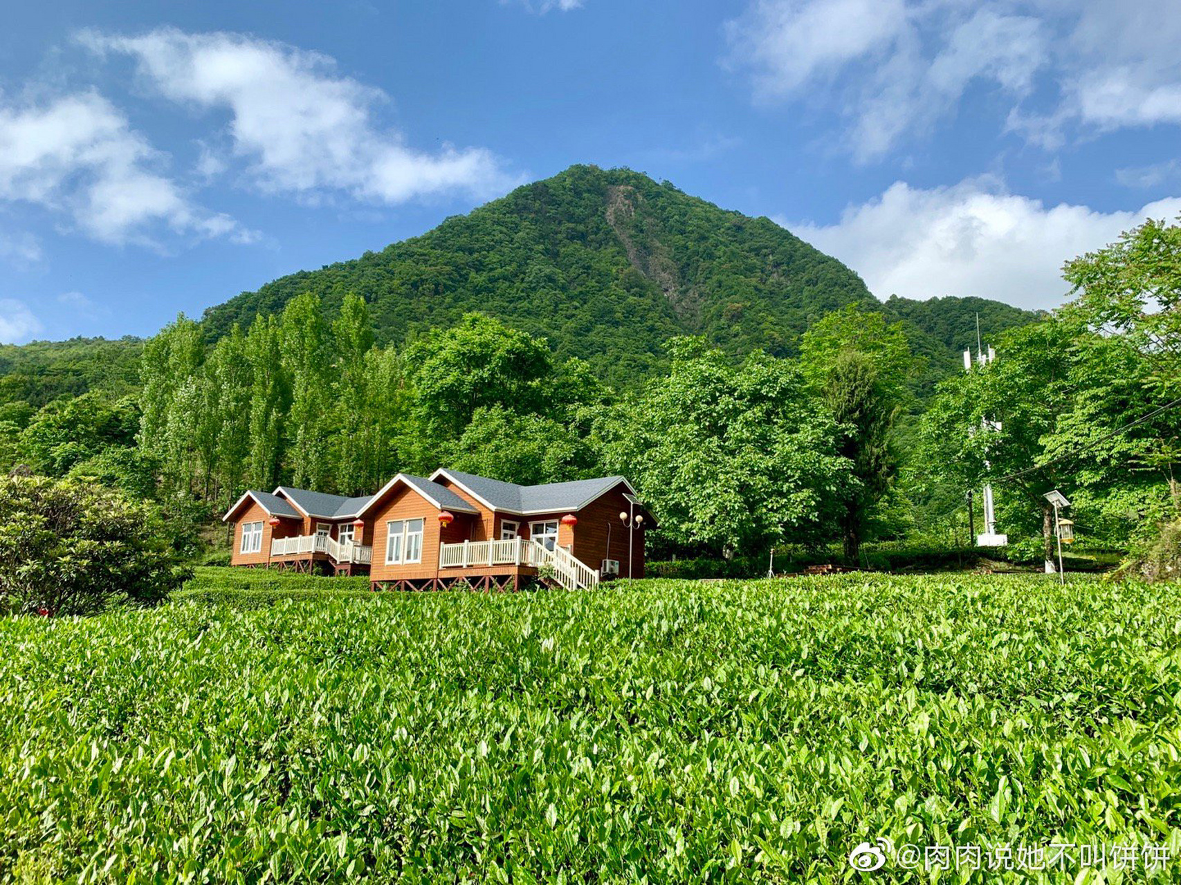 甘肃小瑞士|陇南碧口古镇马家山7215 每年去陇南碧口古镇出差的
