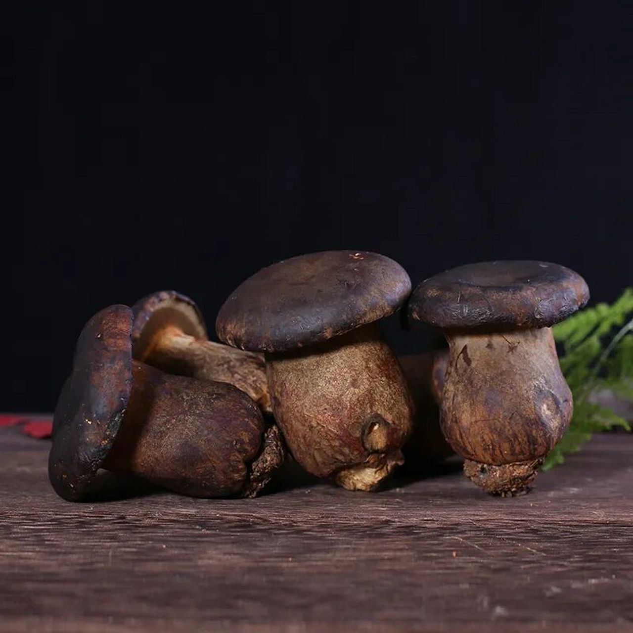 在欧洲,黑牛肝菌经常被拿来食用.外边和菌肉都是黑色的.