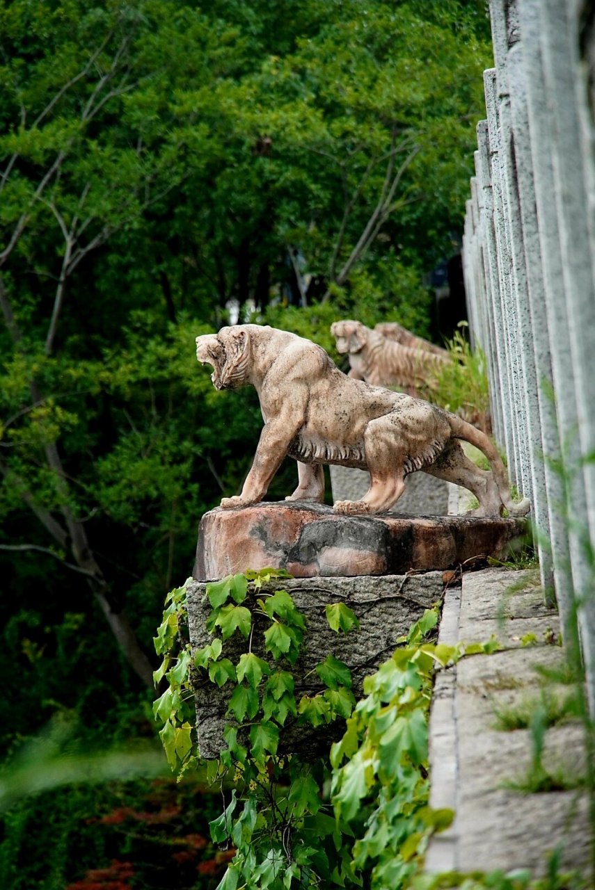 杭州虎山公园,不是虎跑山,大多数人不知道 虎山公园是由半山虎山水库