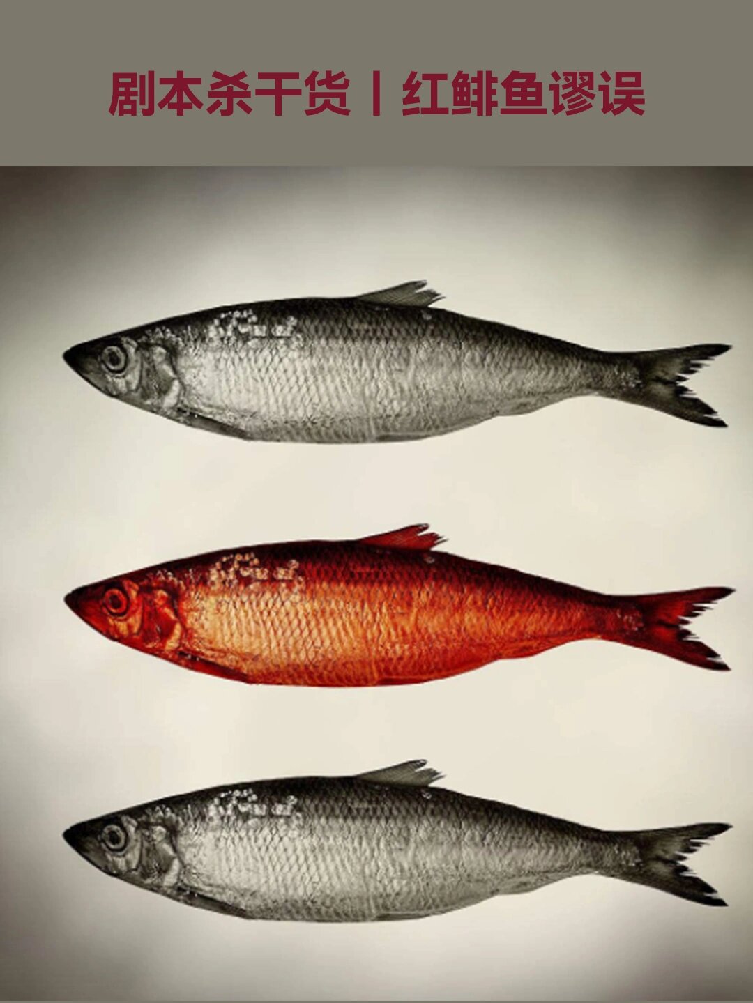 剧本杀干货丨什么是红鯡鱼谬误 红鲱鱼谬误(red herring),即转移话题