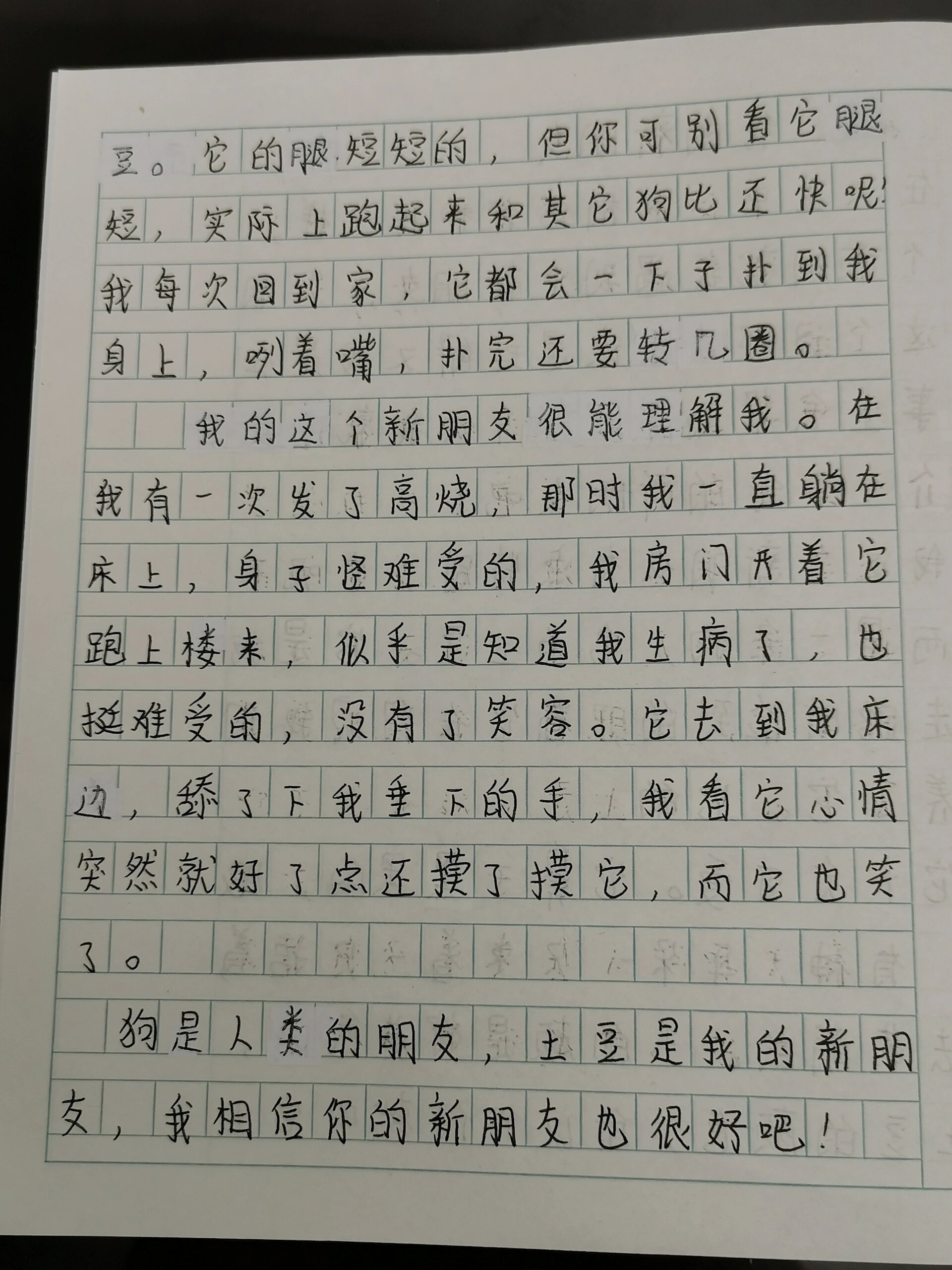 作文《我的新朋友》