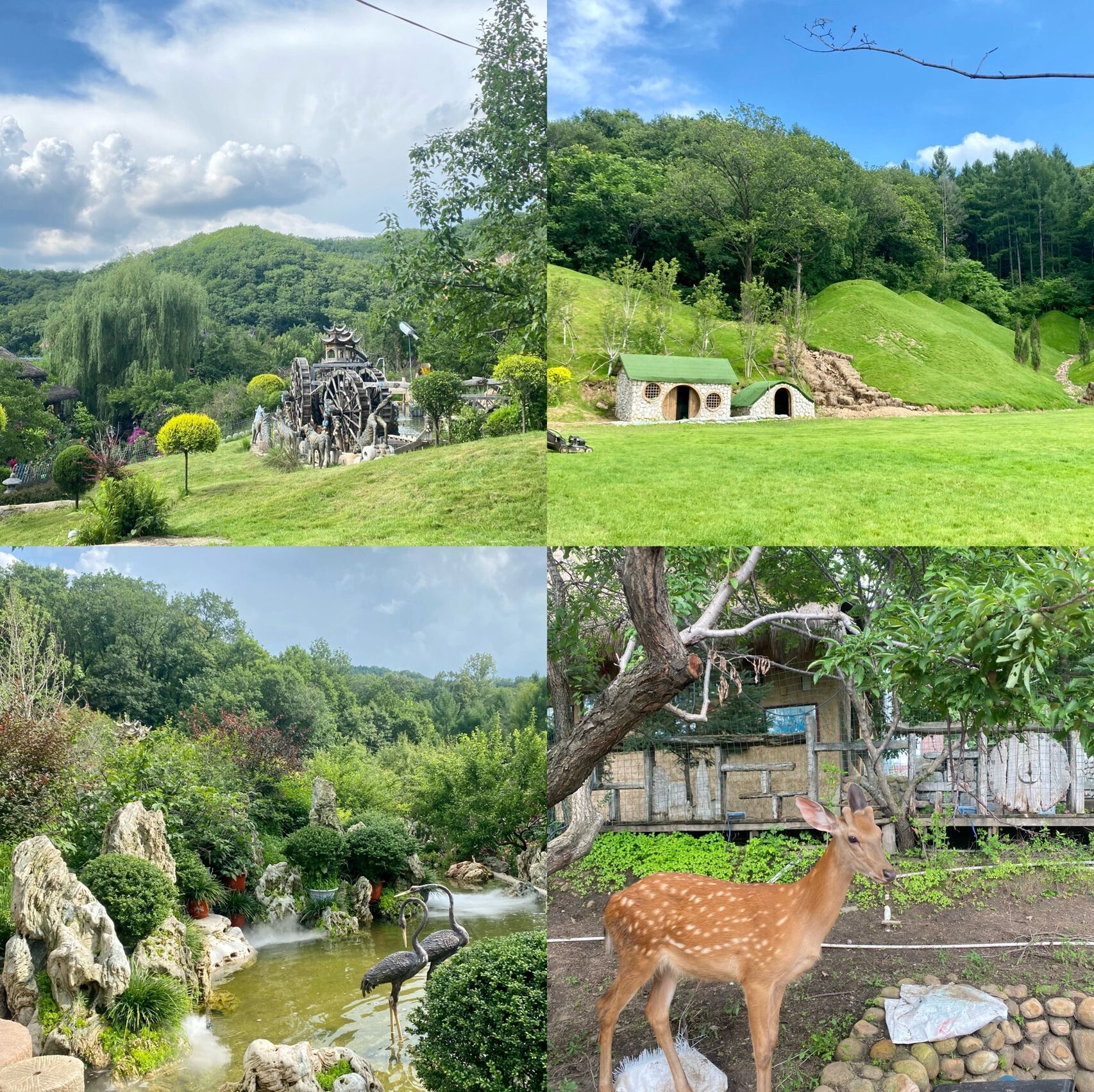 吉林温泉|圣鑫温泉葡萄酒酒庄水世界♨️ 🏠地址:圣鑫酒庄 👗