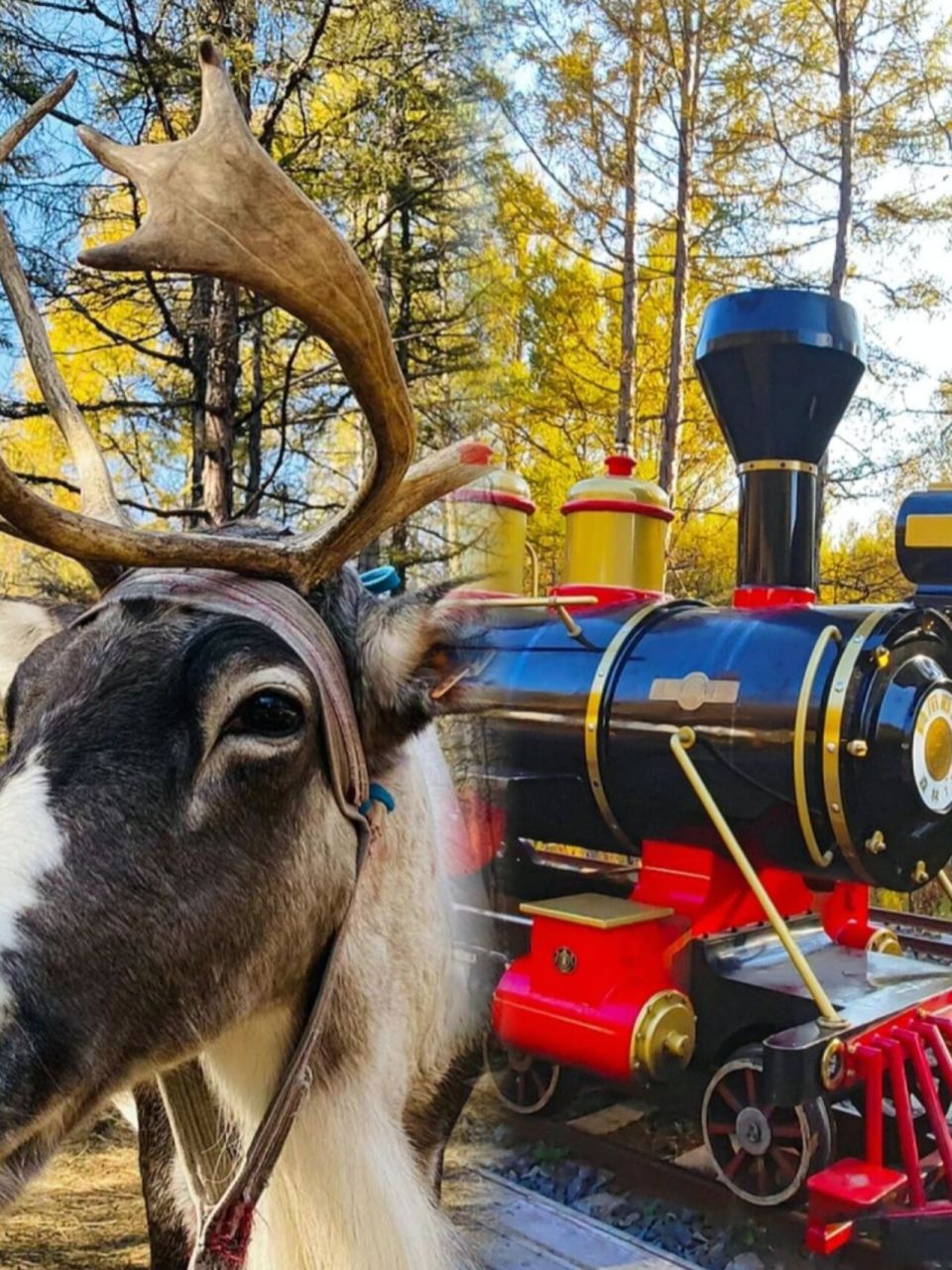 根河旅游攻略|呼伦贝尔的隐世宝藏!