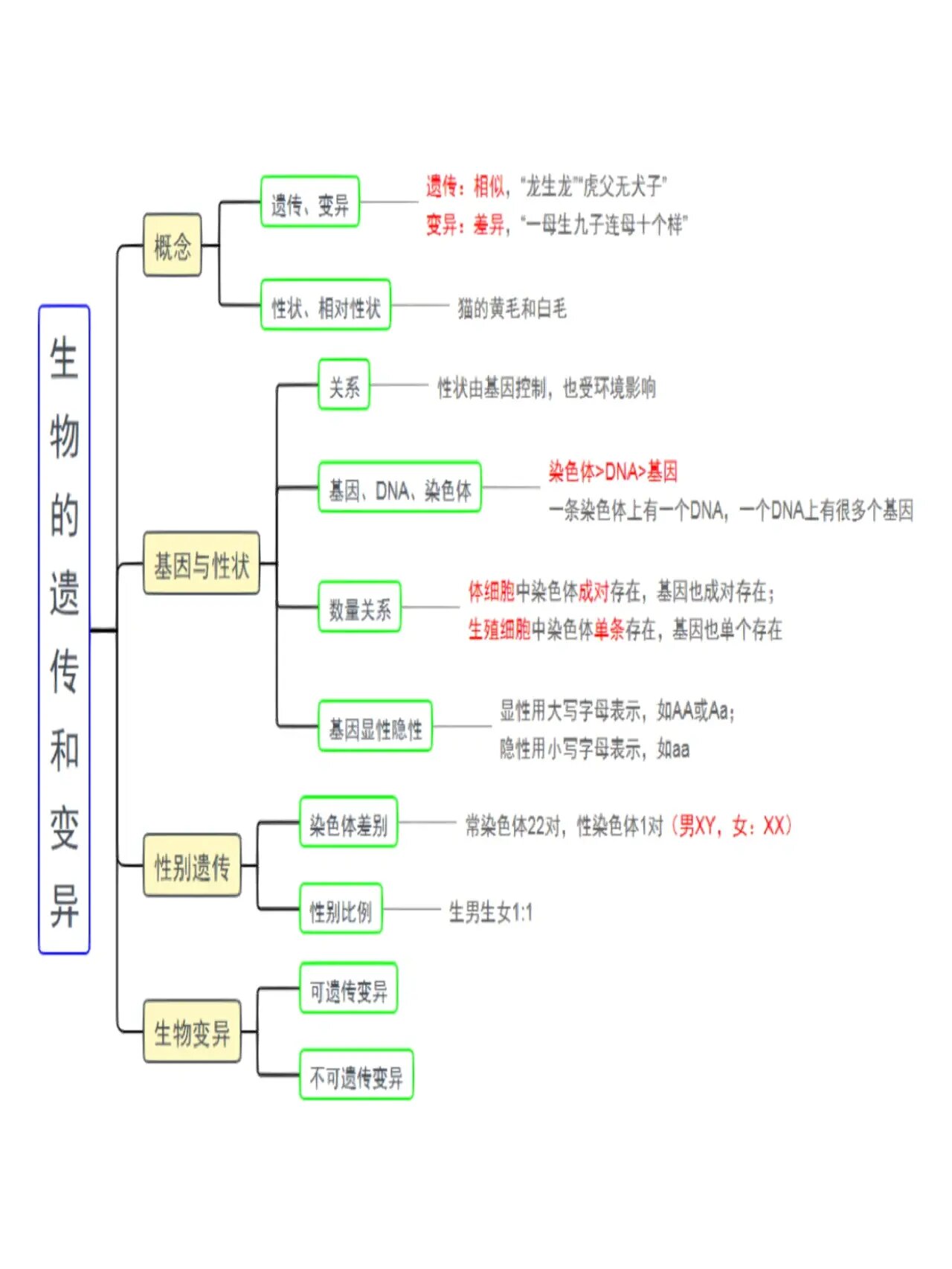 会考复习‖八下生物思维导图,知识框架