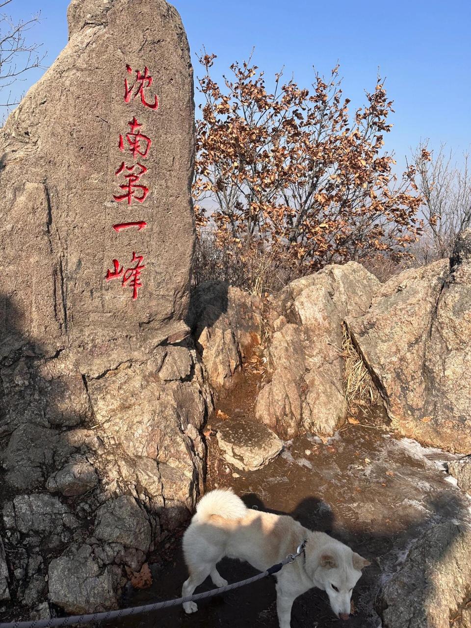 马耳山位于沈阳苏家屯区,冬天不收门票,也没工作人员