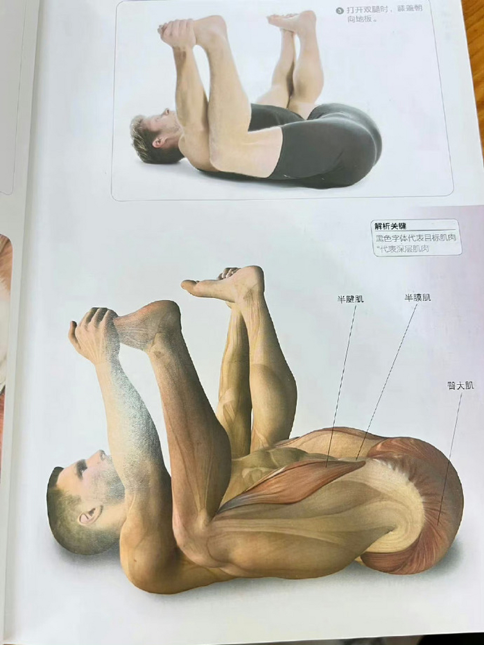 据说这叫一套动作叫最伟大的拉伸