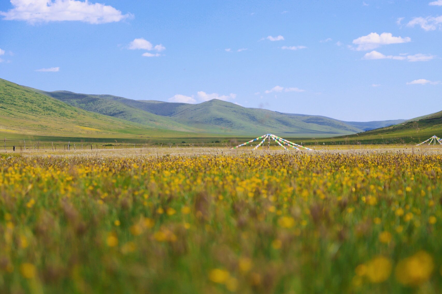 大美川西|若尔盖镰刀坝草原