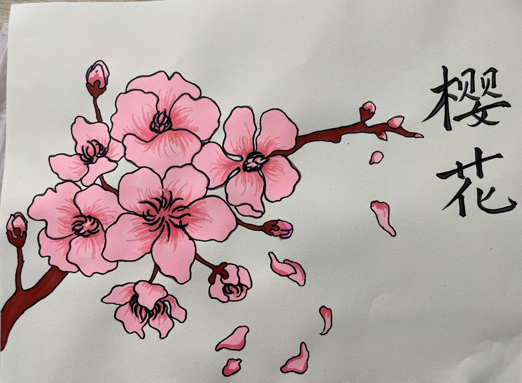 日本手抄报樱花图片