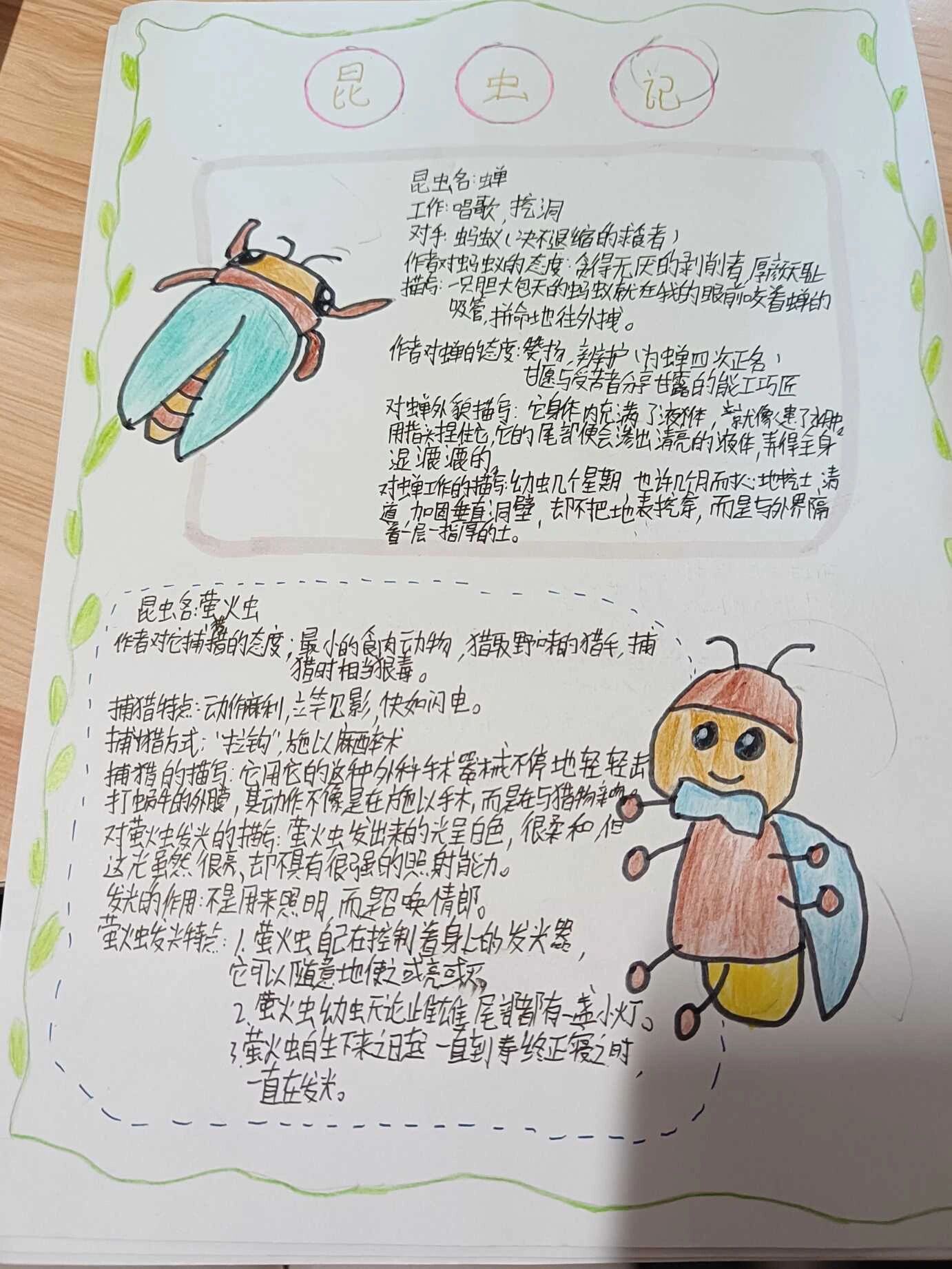 暑假作业——昆虫记档案卡
