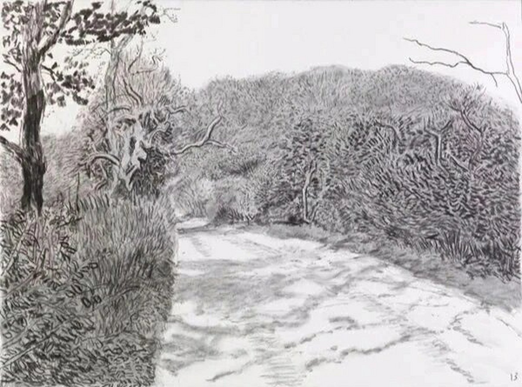 大卫·霍克尼 素描风景作品赏析 91大卫·霍克尼,1937年生于英国