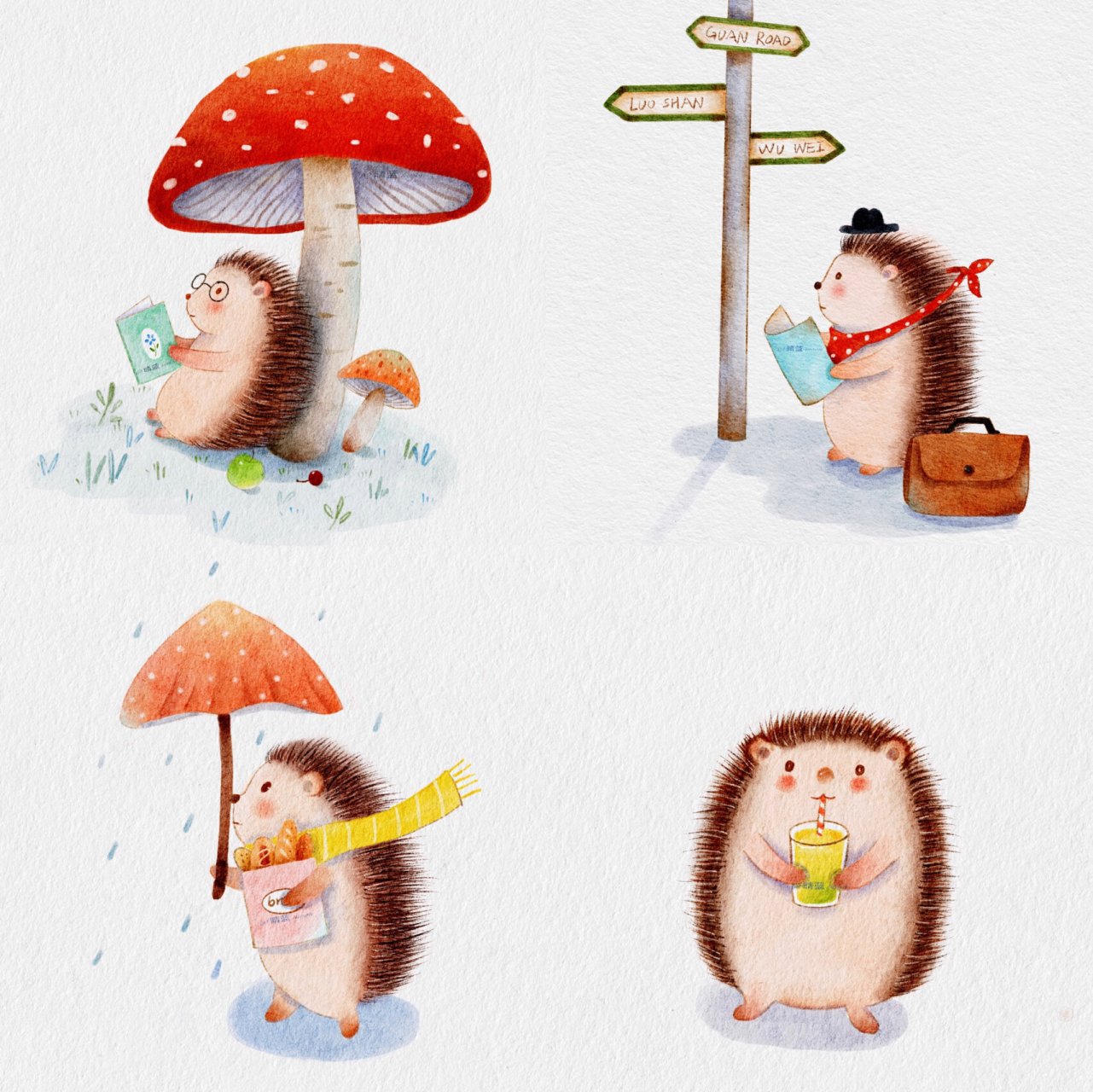原创插画|小动物系列 小刺猬 小时候在老家经常看见刺猬,现在见的少了