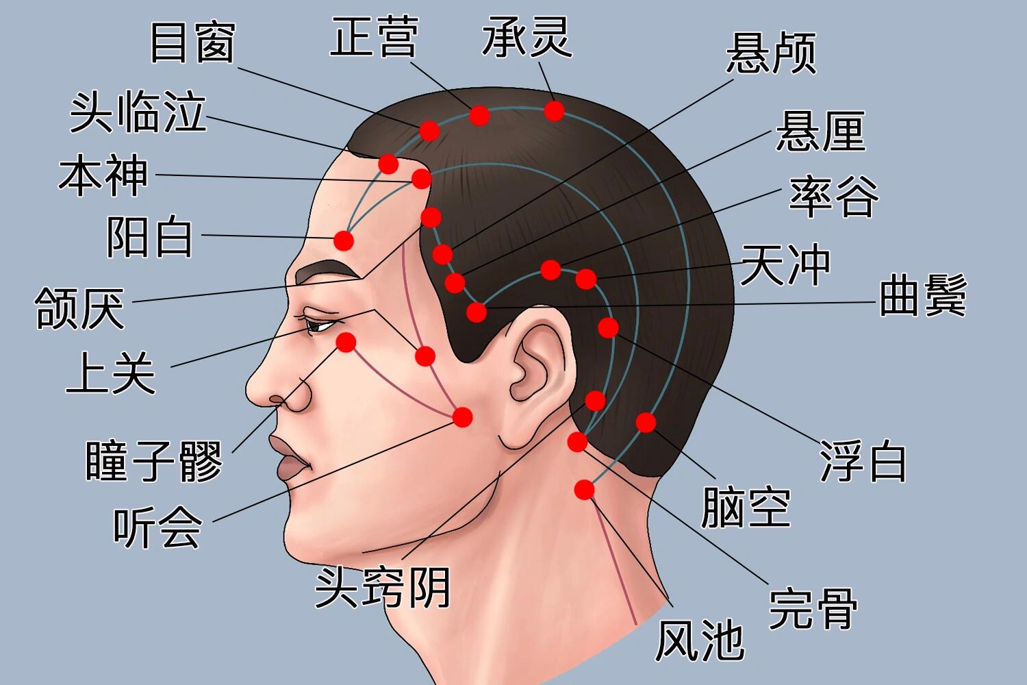 人体重要的12经脉和40处大小穴位以及10多个特殊刺激区