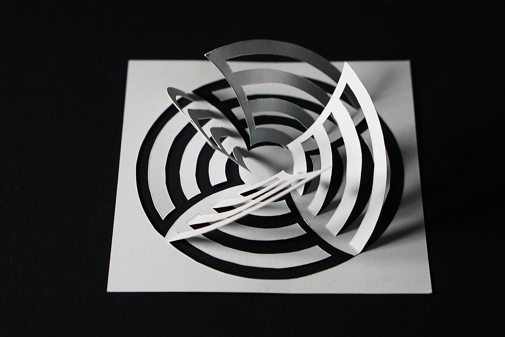 美术生96|半立体构成多切多折分享 听说大家都想要更清晰的多切多折