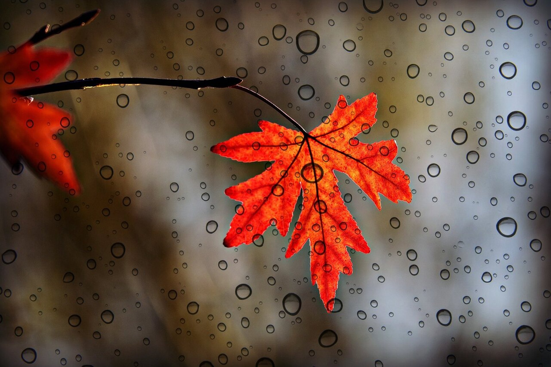 下雨天早晨的图片图片