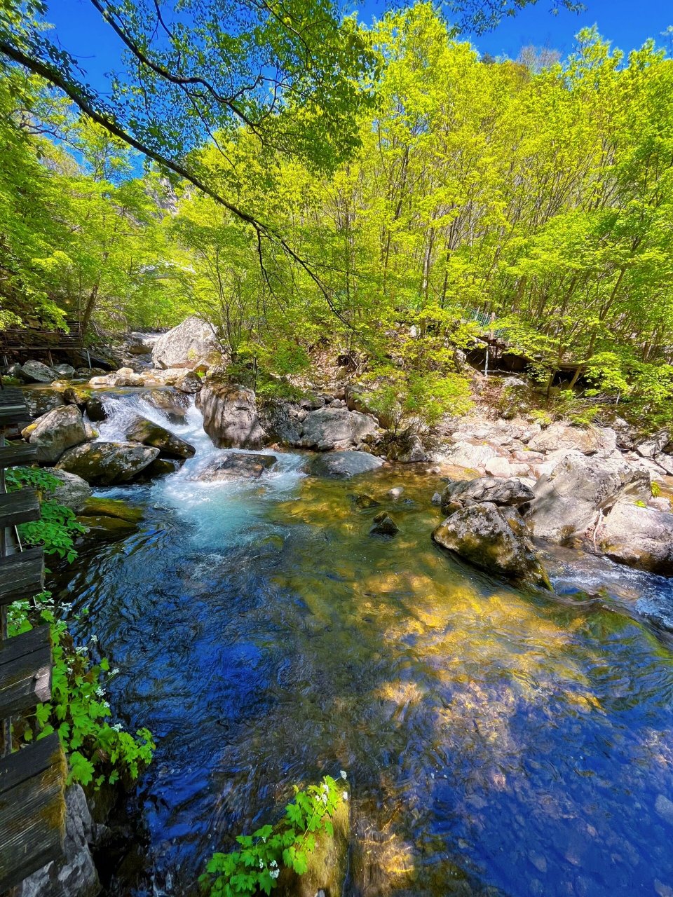 一日游|丹东宽甸天桥沟森林公园 07关于路程:丹东市内全程高速2小时