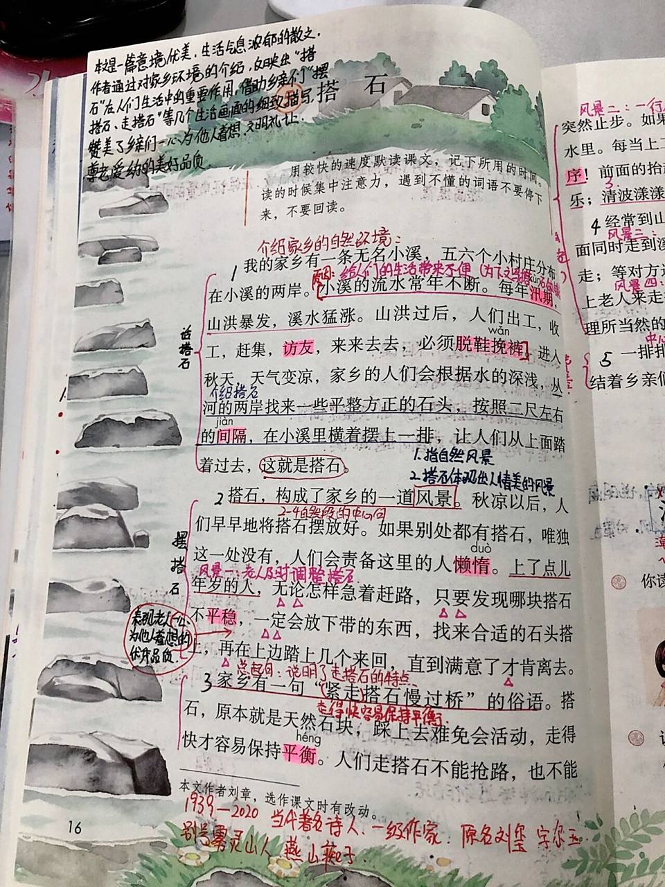 《搭石》课堂笔记 五年级语文上册第五课《搭石》课堂笔记