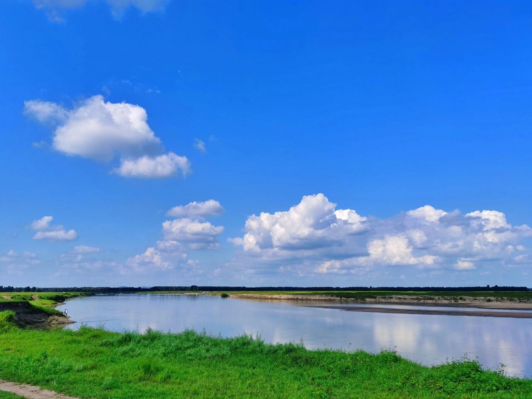 辽河大草原美景 七夕和同学去了辽河大草原,因为渡口排队的车太多