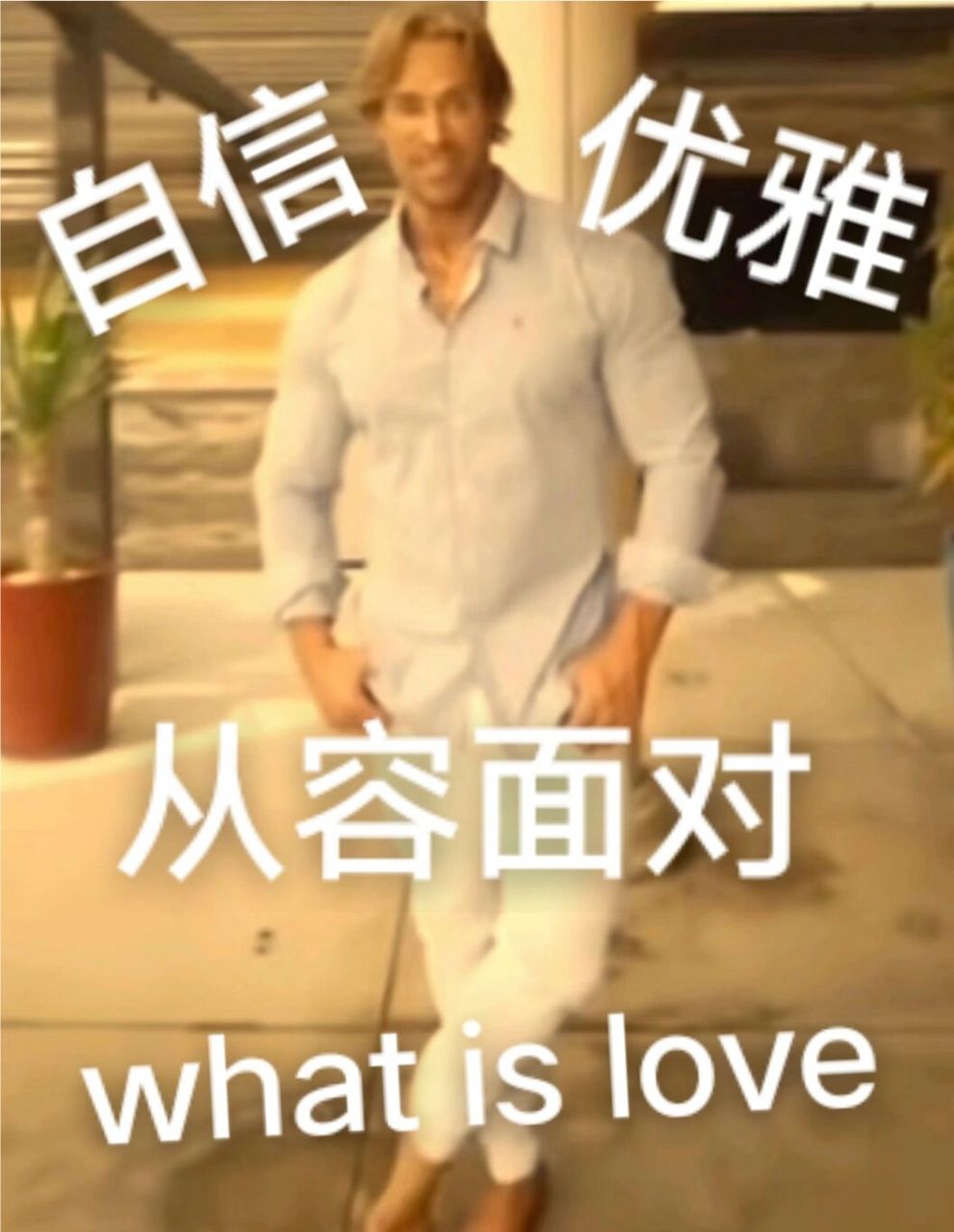 就是这么自信 别问我what is love