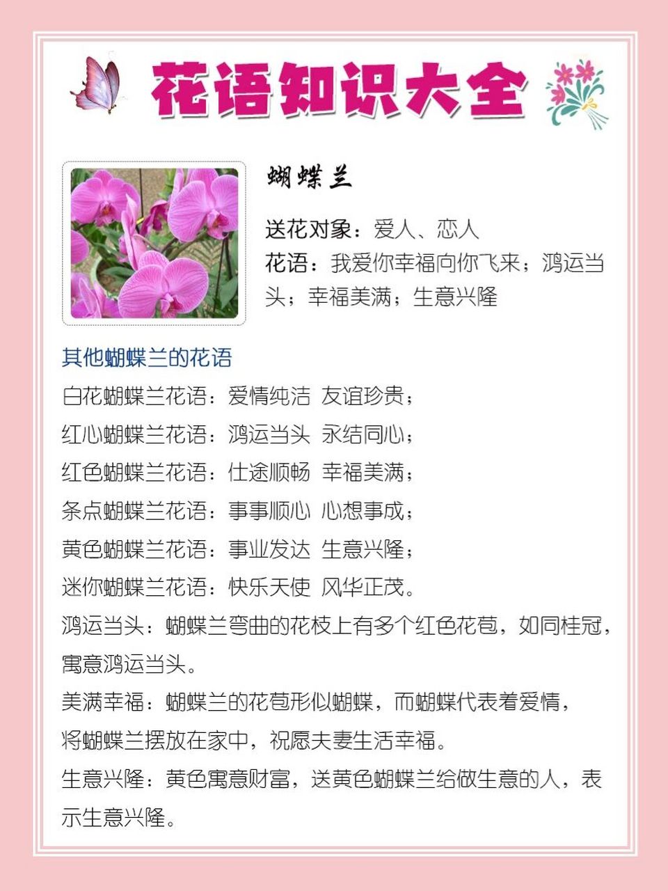 鸿运当头;幸福美满;生意兴隆 其他蝴蝶兰的花语 白花蝴蝶兰花语:爱情