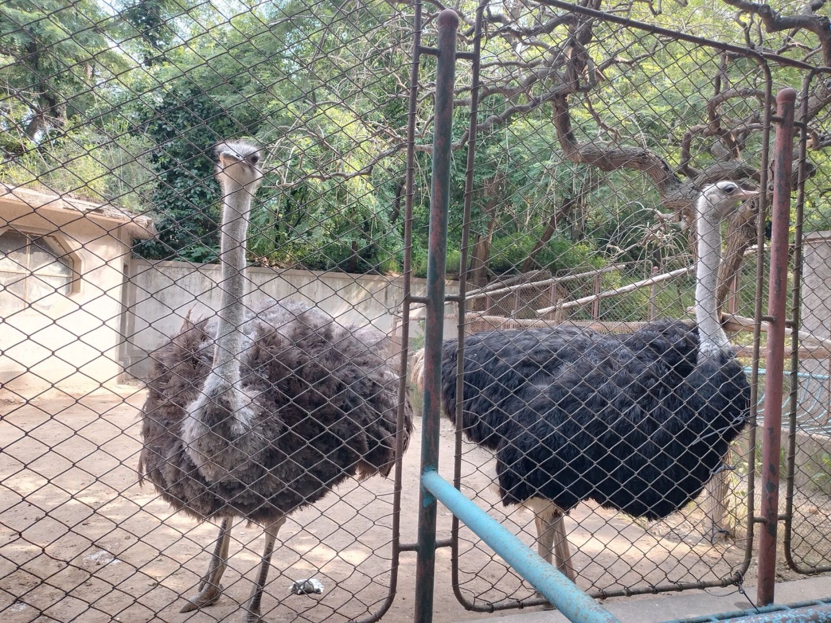 瓦房店东山公园 小时候最喜欢来的地方,为了逃一块钱的门票,绕好远的