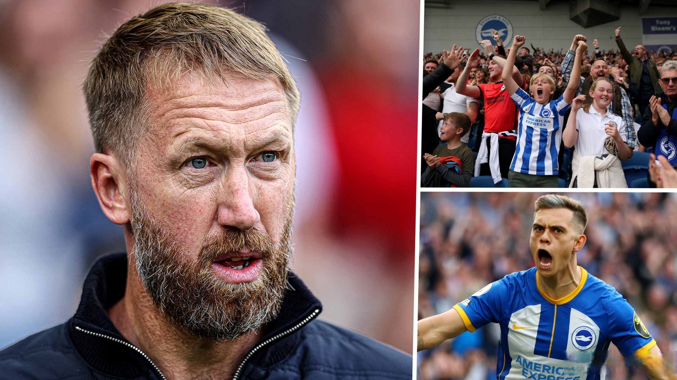 也许不是波特强?而是布莱顿强!