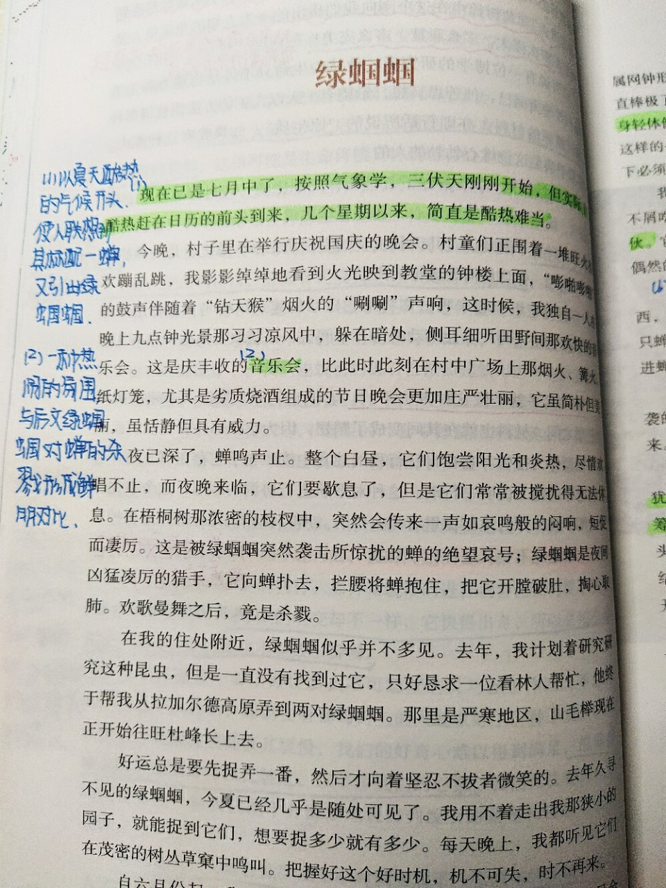 《绿蝈蝈》读书笔记 《绿蝈蝈》批注