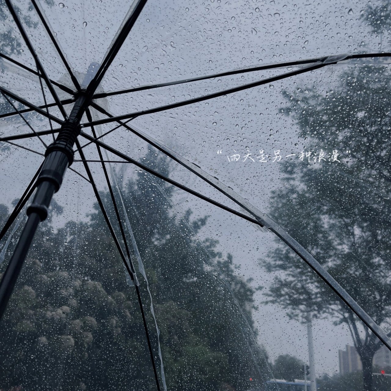 下大雨朋友圈图片