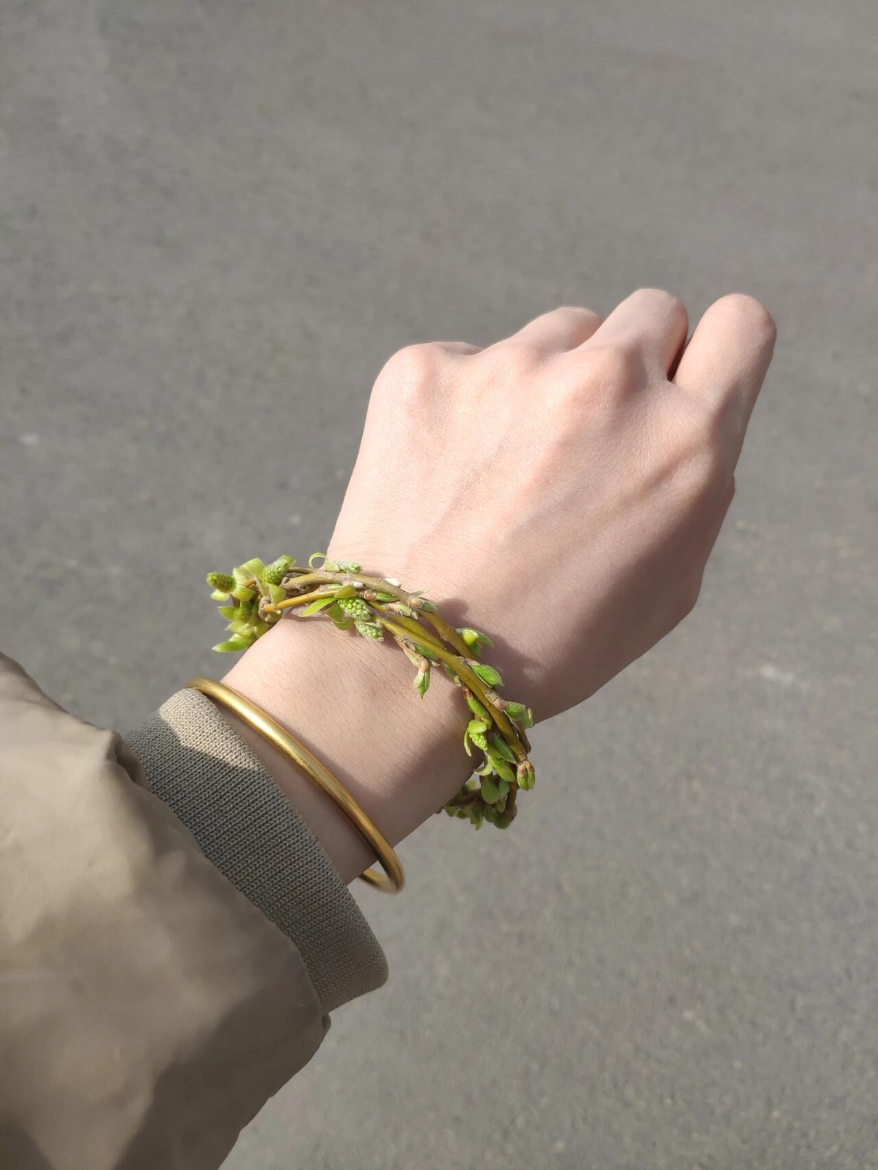 春天的第一个柳枝手环~喜欢呀