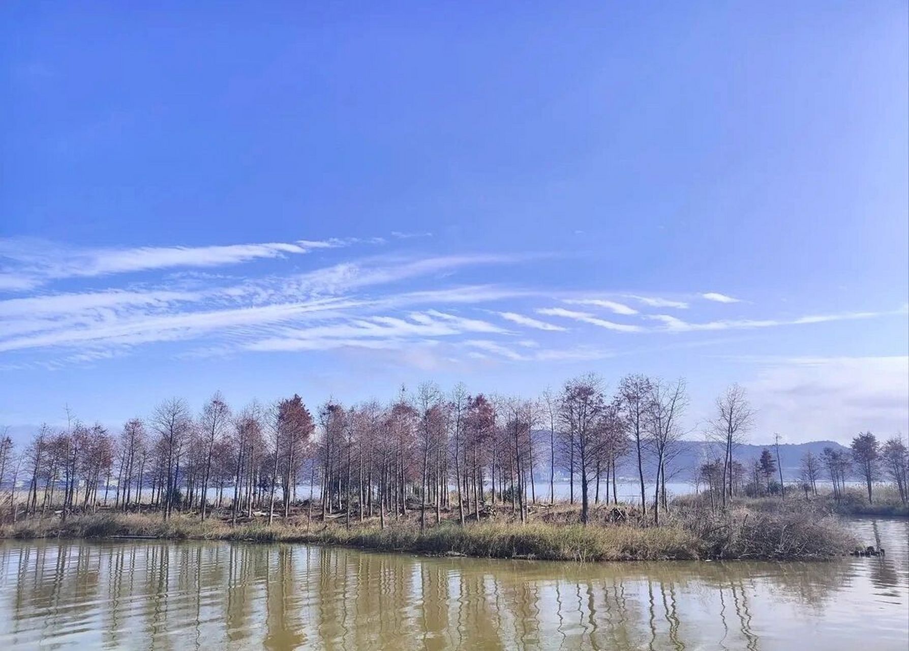 94台州湾湿地公园94原来是……  	 94台州湾湿地公园94
