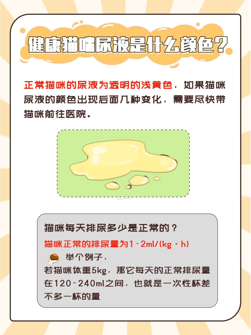 尿液颜色看健康 9999正常猫咪的尿液为透明的浅黄色,但如果猫咪