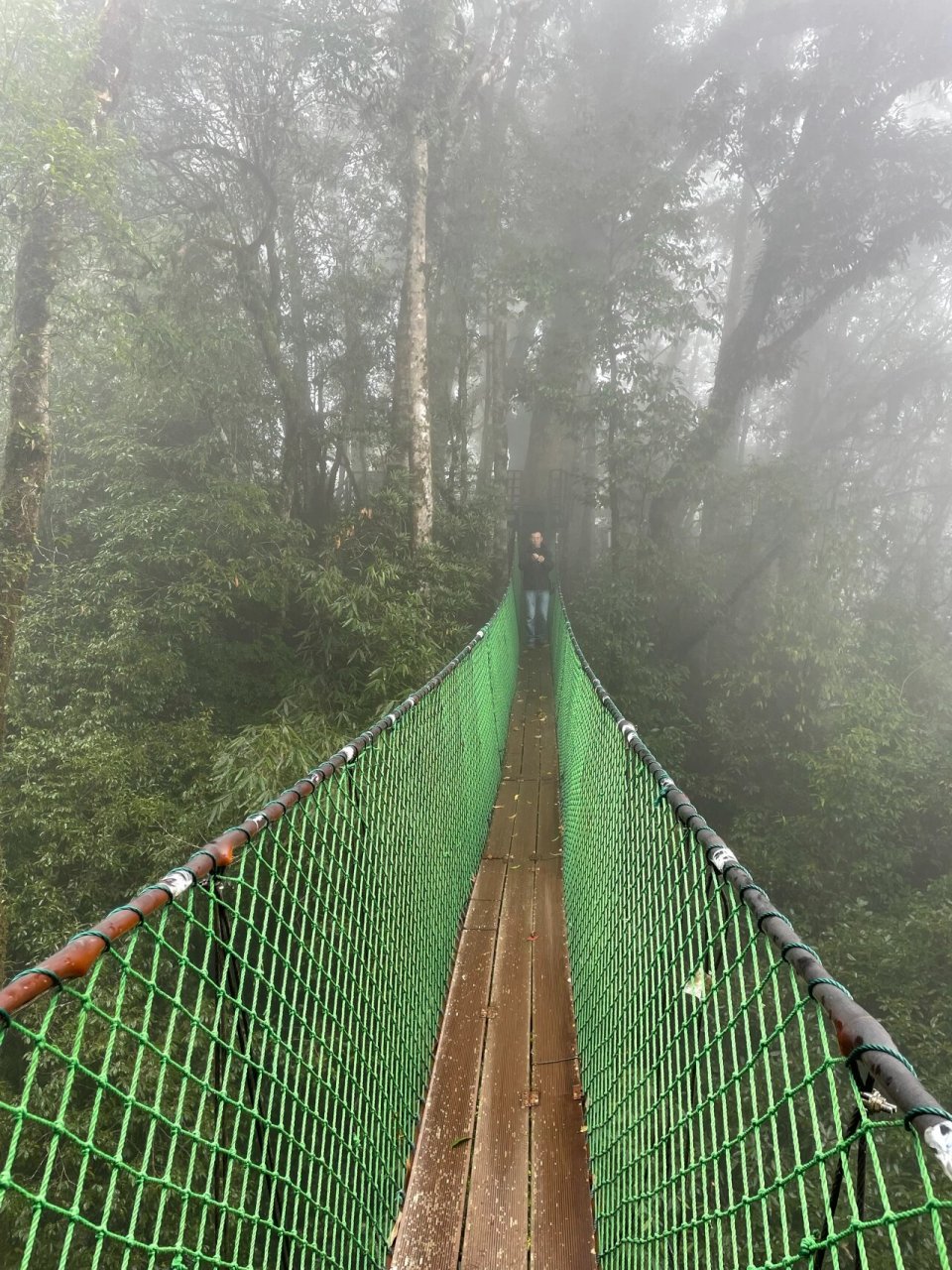 红河州屏边旅游景点图片