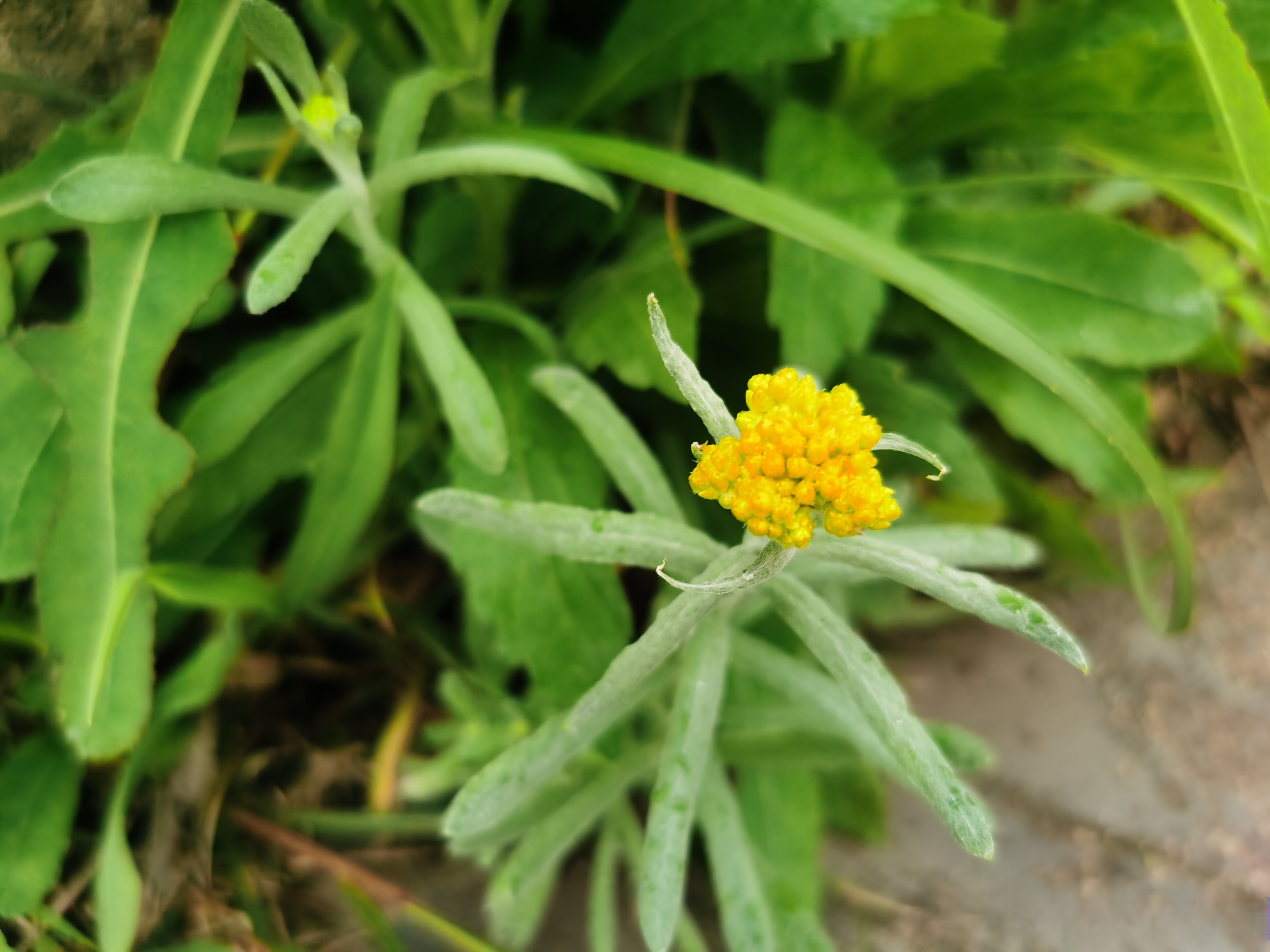 向上走的路途总要经过无数次的焦虑,崩溃,眼泪,甚至是自我怀疑