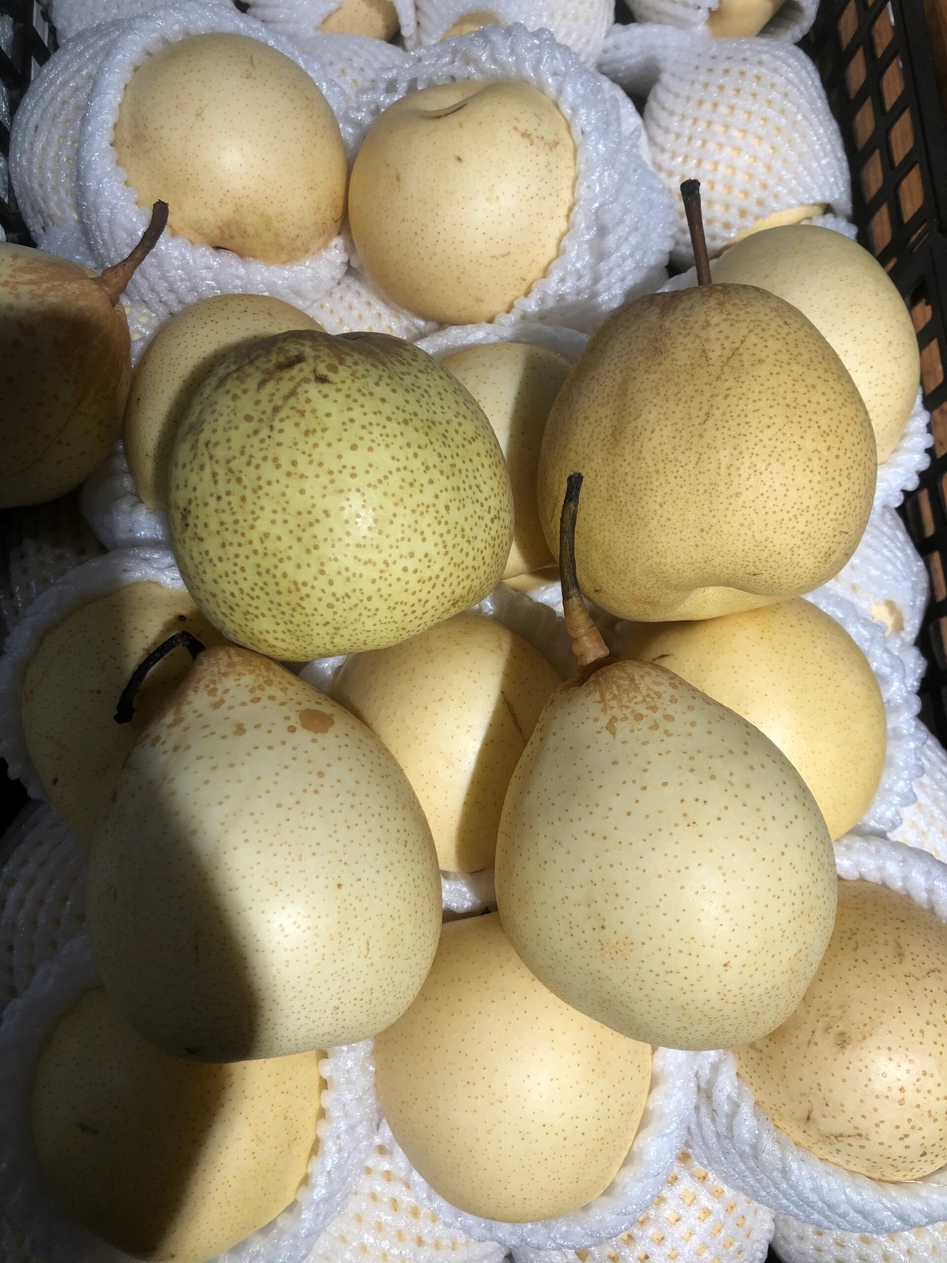 雪梨长啥样 傻傻分不清