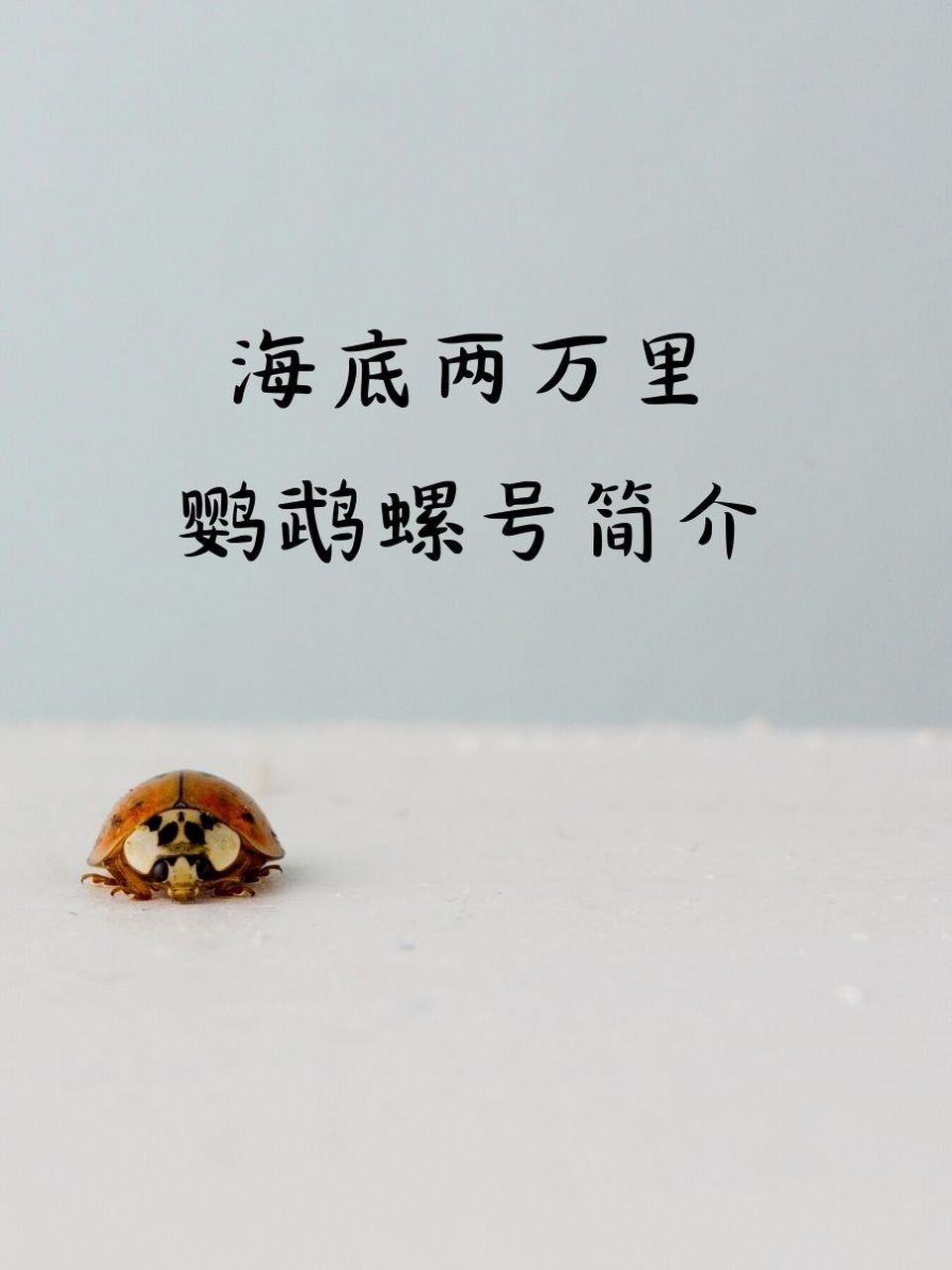 海底两万里鹦鹉螺号简介 1. 98神秘鹦鹉螺号,探秘海底世界! 2.