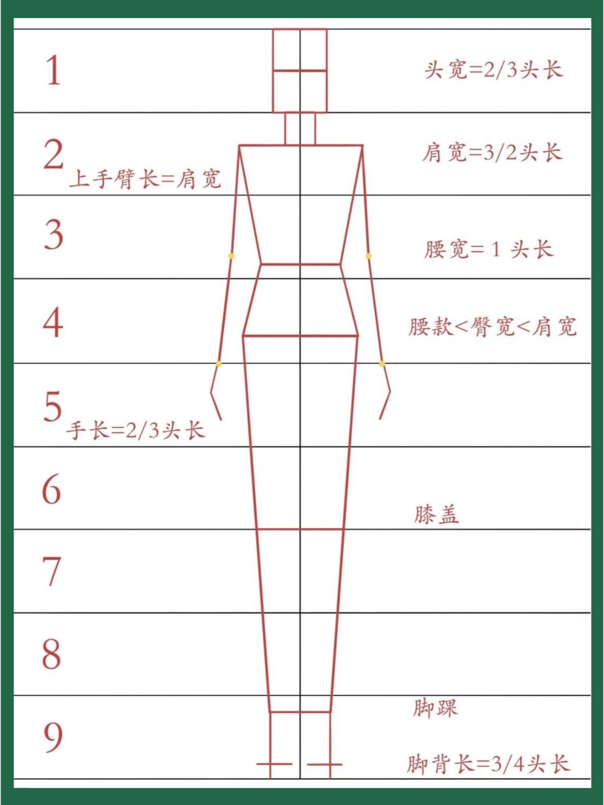 漫画人体比例结构解析