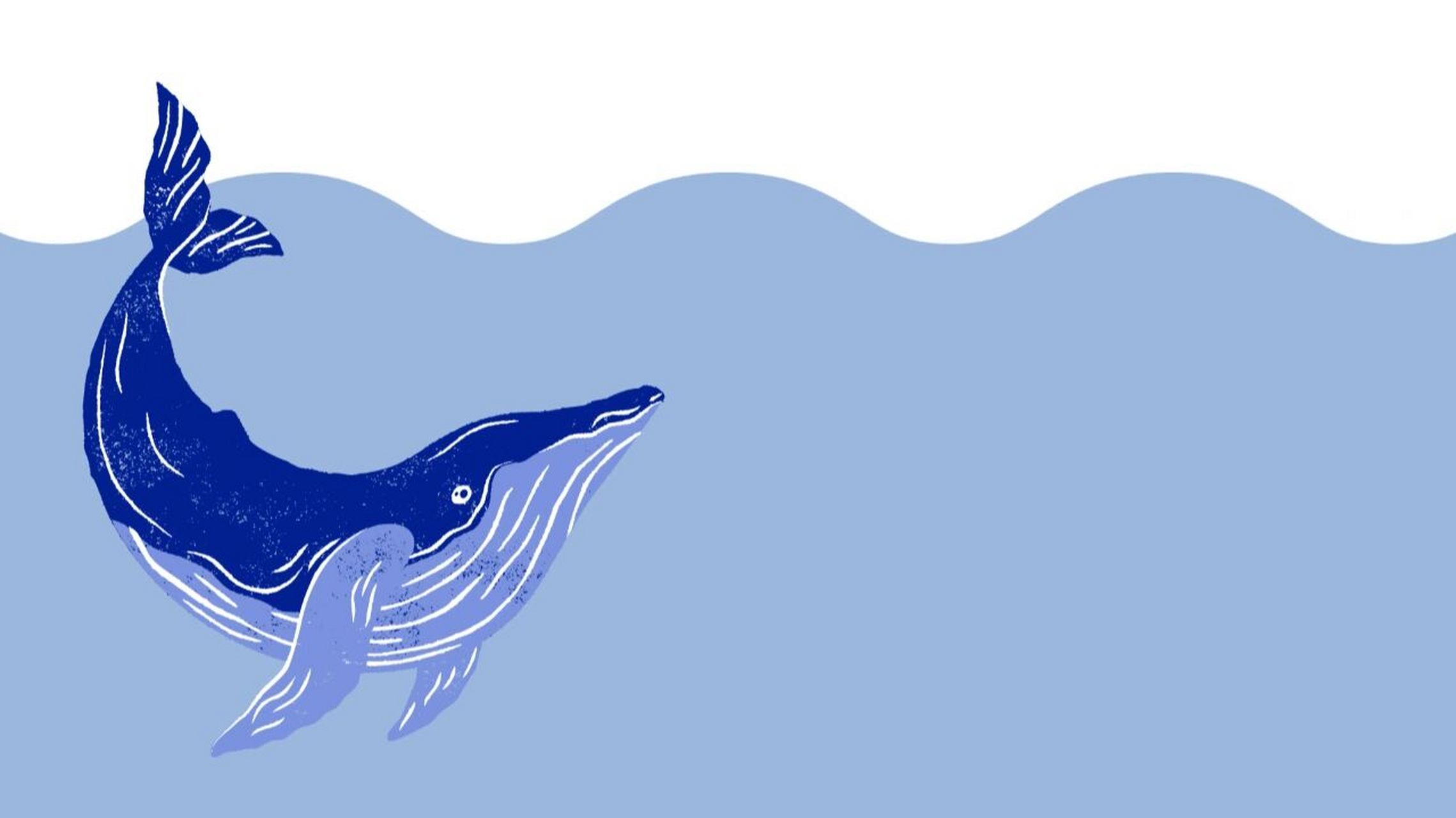 海洋ppt背景图 大海里的神神奇生物们,你们都认识吗?